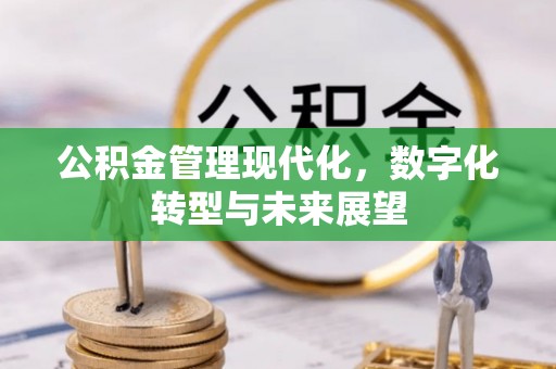 六脚公积金管理现代化，数字化转型与未来展望