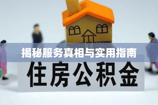 六脚揭秘服务真相与实用指南