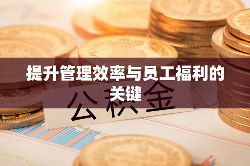 六脚提升管理效率与员工福利的关键