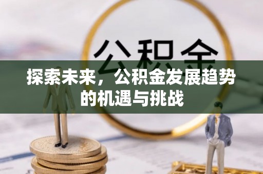 六脚探索未来，公积金发展趋势的机遇与挑战