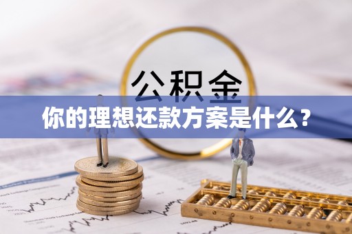 六脚你的理想还款方案是什么？